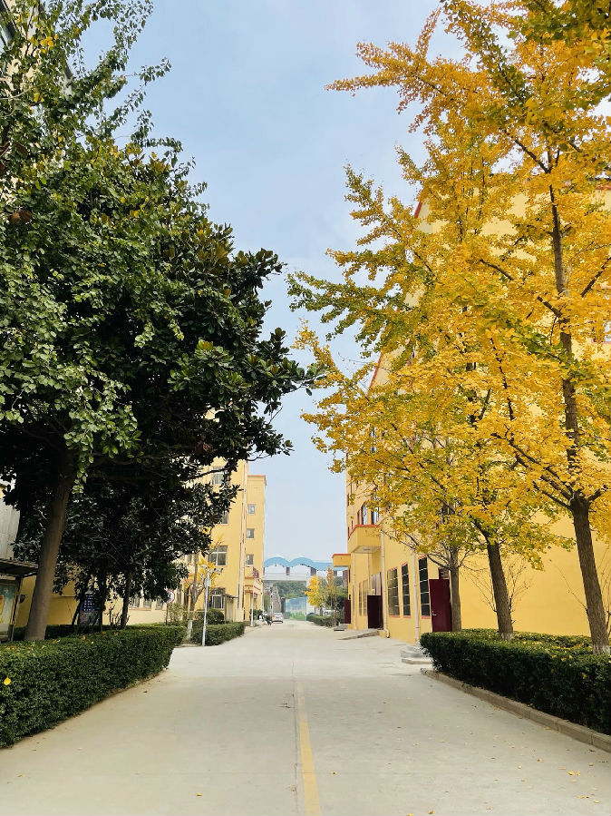 43111aa6bb8dd991b7bf8bac45d40b86_8cb1cb1349540923dd5486d92a0dc609b3de9c82e344.jpg 43111aa6bb8dd991b7bf8bac45d40b86_8cb1cb1349540923dd5486d92a0dc609b3de9c82e344.jpg