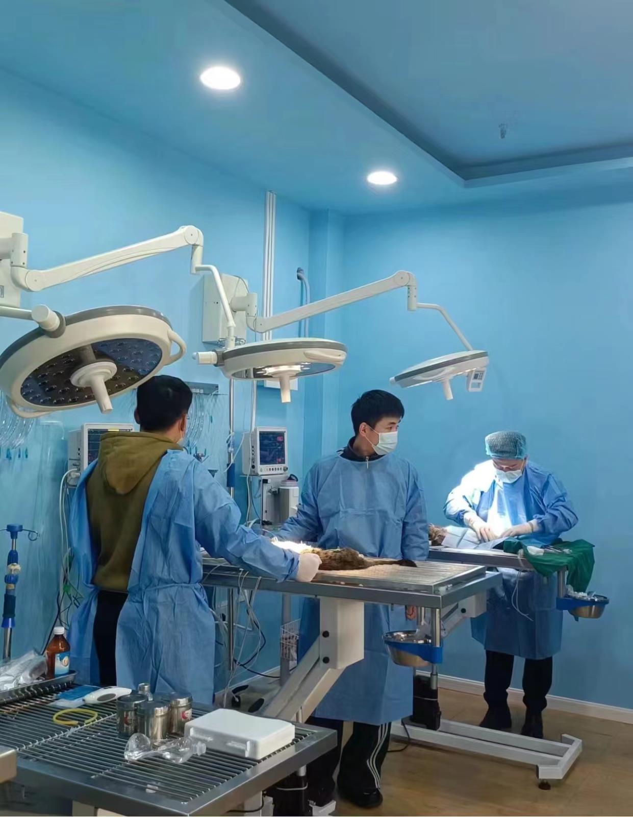 4ee51f66b49610862fd0a3e3e92f1f3.jpg 4ee51f66b49610862fd0a3e3e92f1f3.jpg