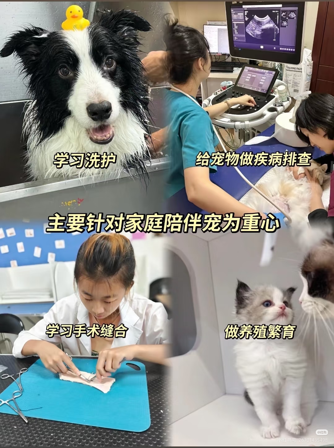 a175ce6e603490cef54faba71cdf880.jpg a175ce6e603490cef54faba71cdf880.jpg