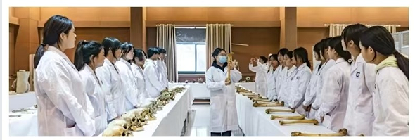 202510101708368394.png 202510101708368394.png