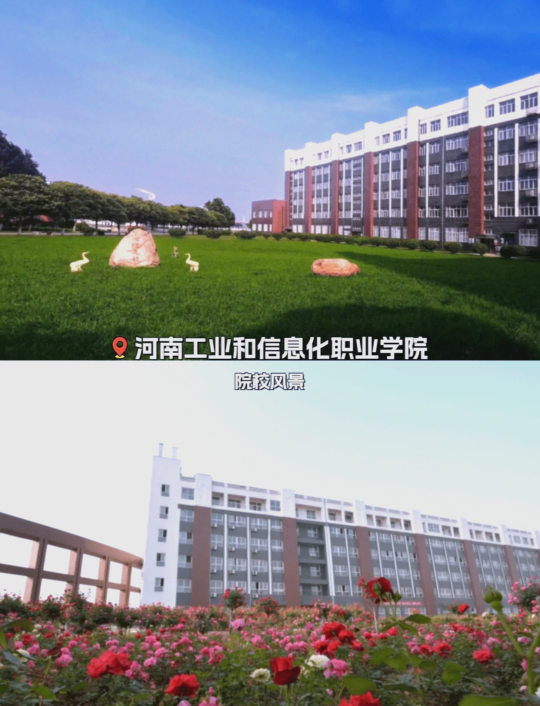 1295429c25b6cdea9f059ec2e82630ad_3.png 1295429c25b6cdea9f059ec2e82630ad_3.png