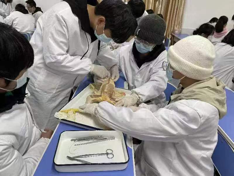 d11218d3c54a339bc36b75e4f2f1b31.jpg d11218d3c54a339bc36b75e4f2f1b31.jpg