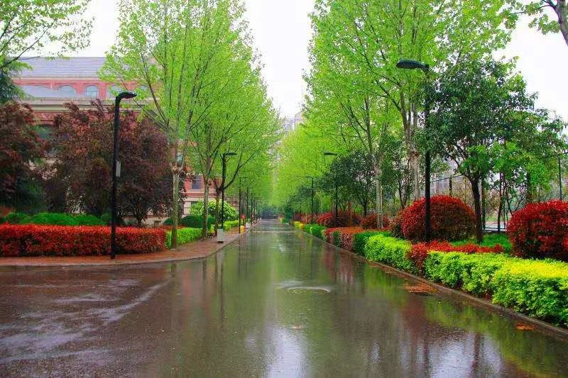 09e2fd06336f1790a601d83b289d858.jpg 09e2fd06336f1790a601d83b289d858.jpg