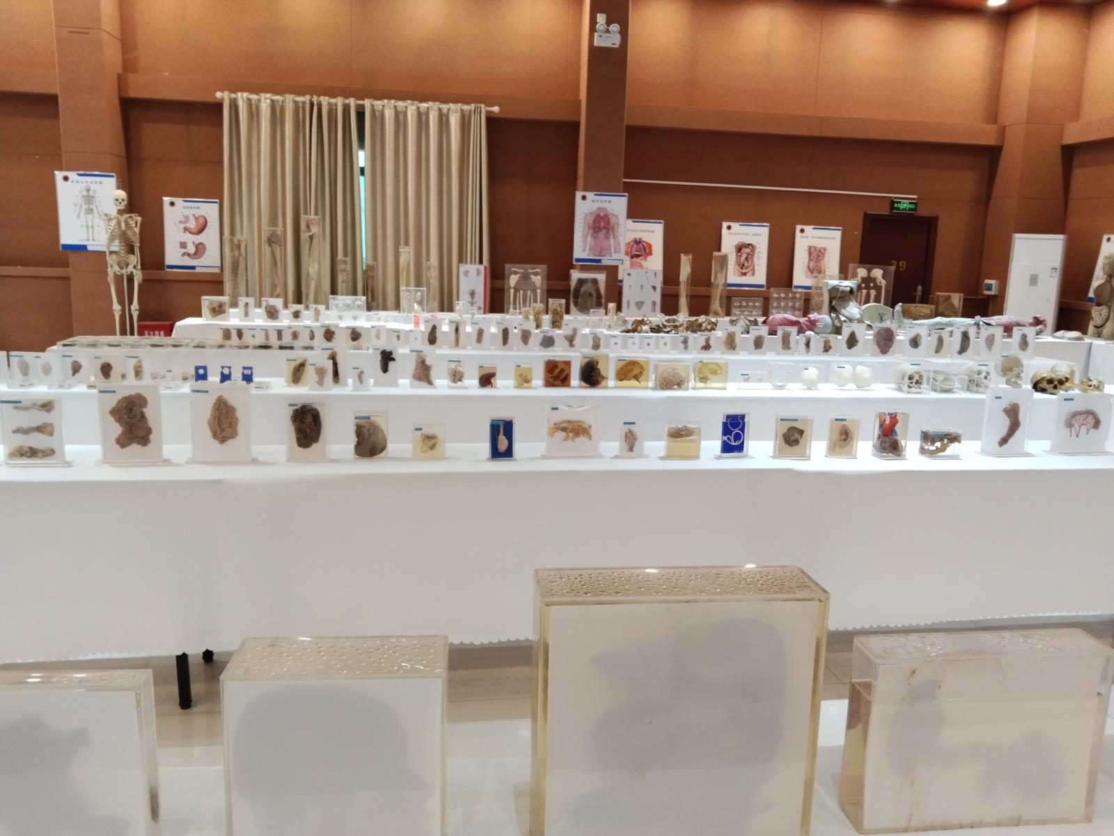 d02db7a4895ff998dfbf333e41d2a003.jpg d02db7a4895ff998dfbf333e41d2a003.jpg