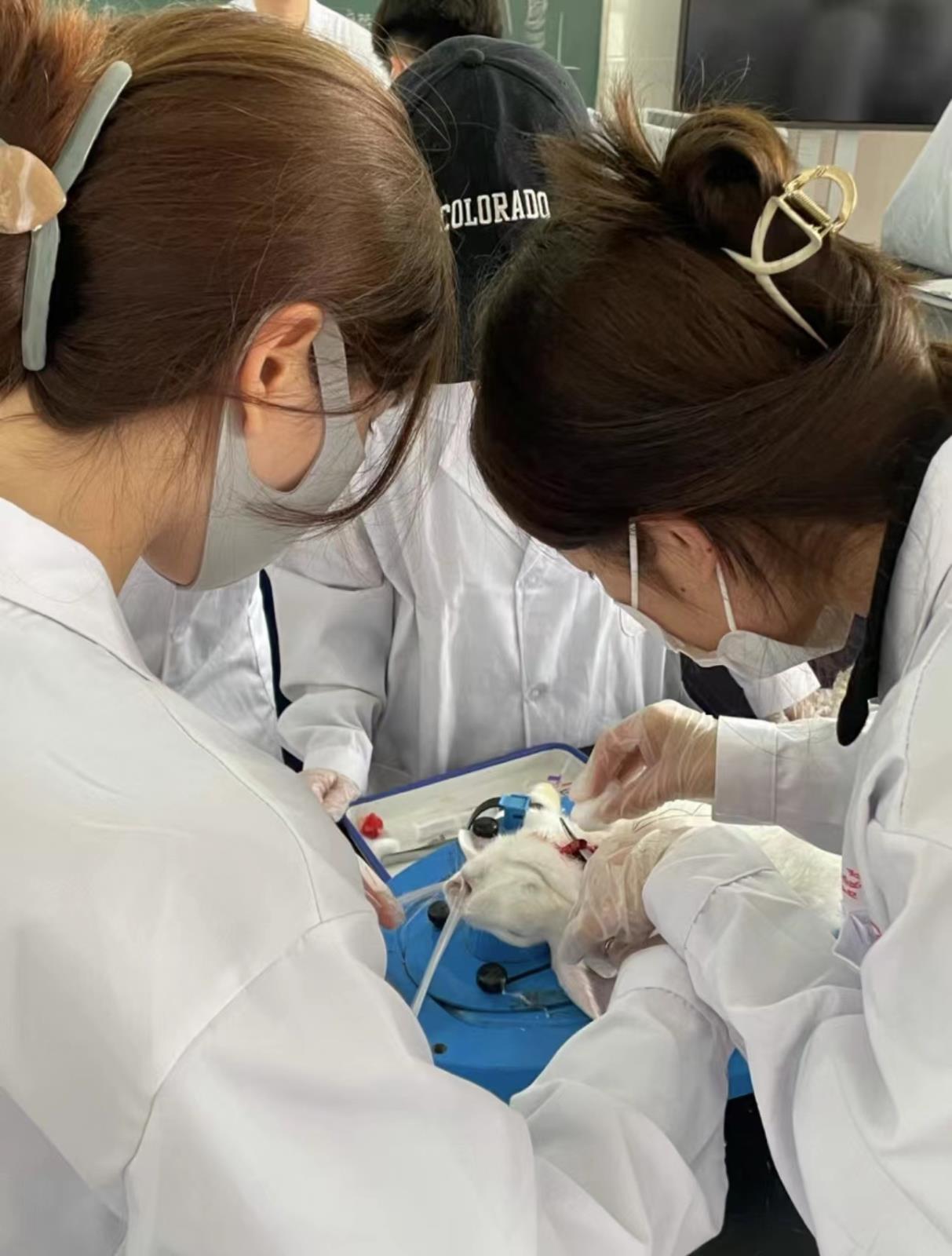 32c17e7d23d29b6eef3bc85f113a1503.jpg 32c17e7d23d29b6eef3bc85f113a1503.jpg