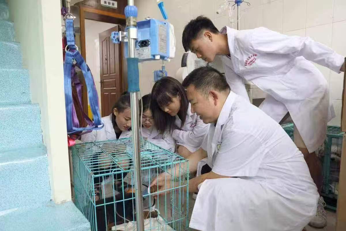 de3dc02870f6a44b31cf8a895788f1b0.jpg de3dc02870f6a44b31cf8a895788f1b0.jpg