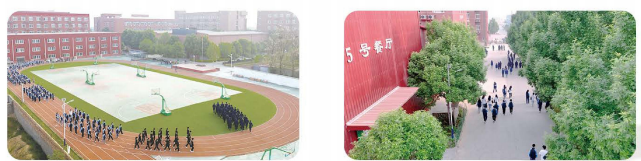 1b1f9140-68bc-4261-8845-c5c287ccc5f4.png 1b1f9140-68bc-4261-8845-c5c287ccc5f4.png